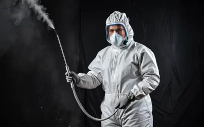 Quais são as leis e normas locais sobre dedetização no Rio de Janeiro?