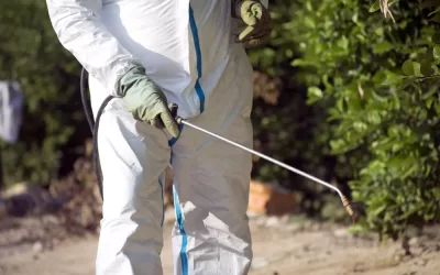 Dedetização de Carrapatos: Como proteger sua casa