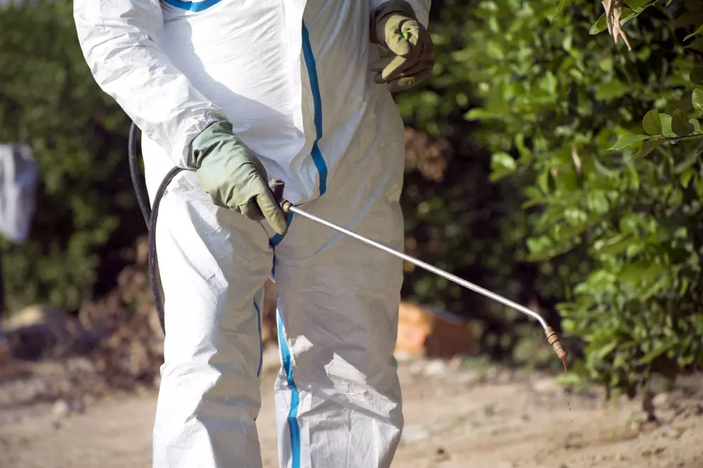 Dedetização de Carrapatos: Como proteger sua casa