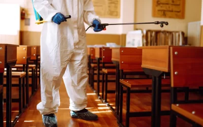 Dedetização para escolas e creches no RJ: importância e regulamentações