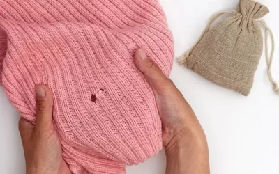 Afastar as Traças e Outras Pragas de Armários: Soluções Caseiras Funcionam?