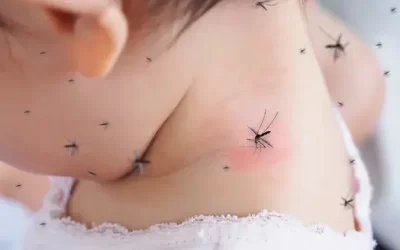 Afastar os Mosquitos, Fiquem Fora! Estratégias Práticas para Espantar os Zumbidores