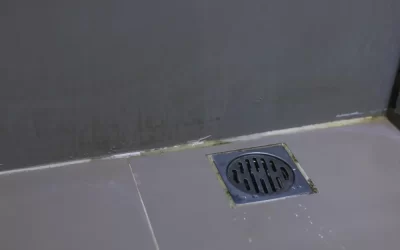 Selando Ralos e Frestas: Como Impedir que as Baratas de Esgoto Entrem no Verão