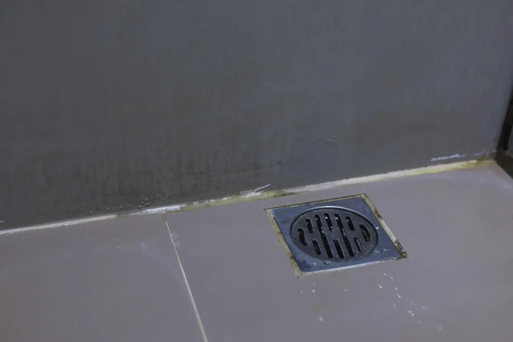 Selando Ralos e Frestas: Como Impedir que as Baratas de Esgoto Entrem no Verão