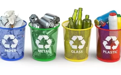 Coleta Seletiva vs. Infestação: Como a Separação Correta do Lixo Ajuda no Combate às Pragas