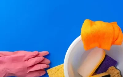 Da Cozinha ao Banheiro: Cuidados de Higiene para Manter Baratas Longe no Calor