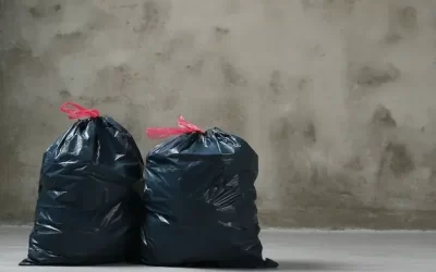 O Paraíso das Baratas: Por que Elas Adoram a Lixeira do Seu Prédio?