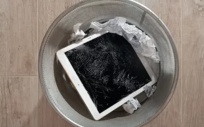 Passo a Passo para Manter a Lixeira Limpa e Livre de Baratas