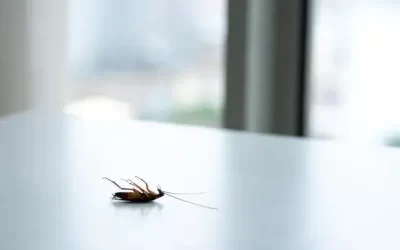 Por que as Baratas de Esgoto Surgem Mais no Calor? Entenda o Comportamento Dessas Pragas