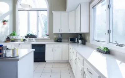 Dedetizadora RJ: Baratas francesinhas em cozinhas – prevenção e eliminação