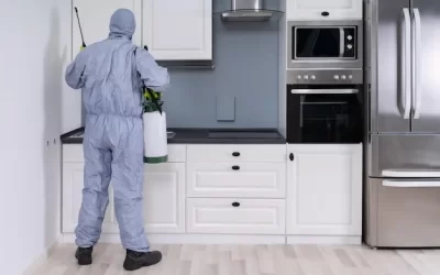 Dedetizadora Vargem Grande: Cupins em móveis planejados – tratamento localizado certificado