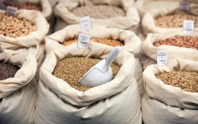 Controle de caruncho na Urca: mantenha seus grãos e cereais livres de pragas