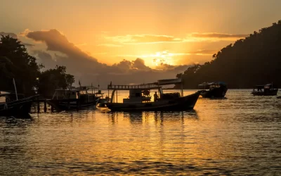 Como a descupinização ajuda a valorizar imóveis em Paraty?