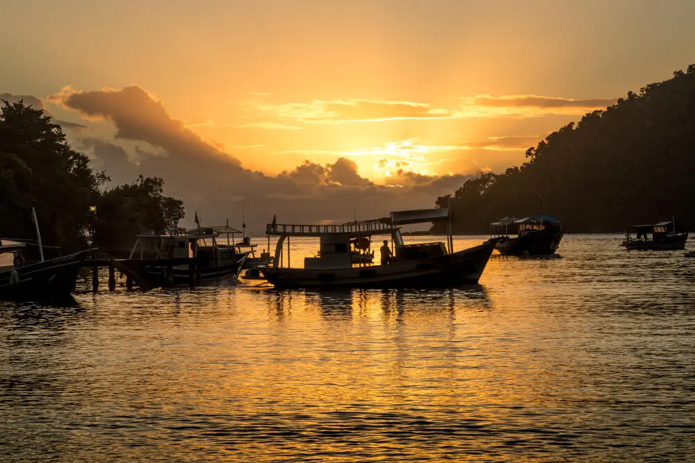 Como a descupinização ajuda a valorizar imóveis em Paraty?