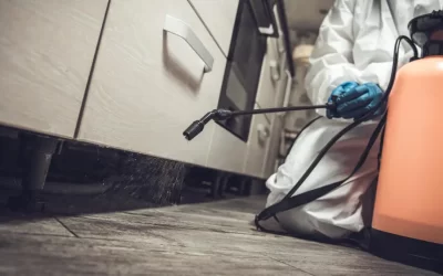 Dedetização em Itaguaí: quais pragas mais afetam casas e empresas da região?