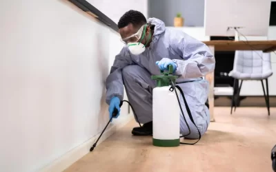 Dedetizadora em Cabo Frio: como funciona o controle integrado de pragas urbanas?