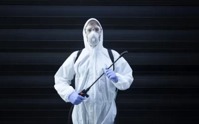 Descupinização em escolas, igrejas e prédios públicos em Itaguaí