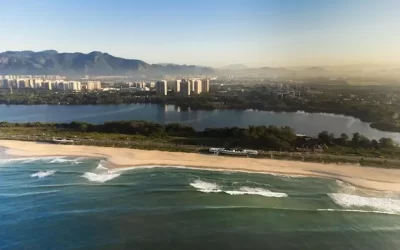 Cupins de luz em áreas litorâneas: atenção redobrada na primavera e verão