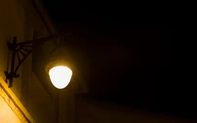 Cupins de luz invadindo sua casa? Saiba o que fazer imediatamente