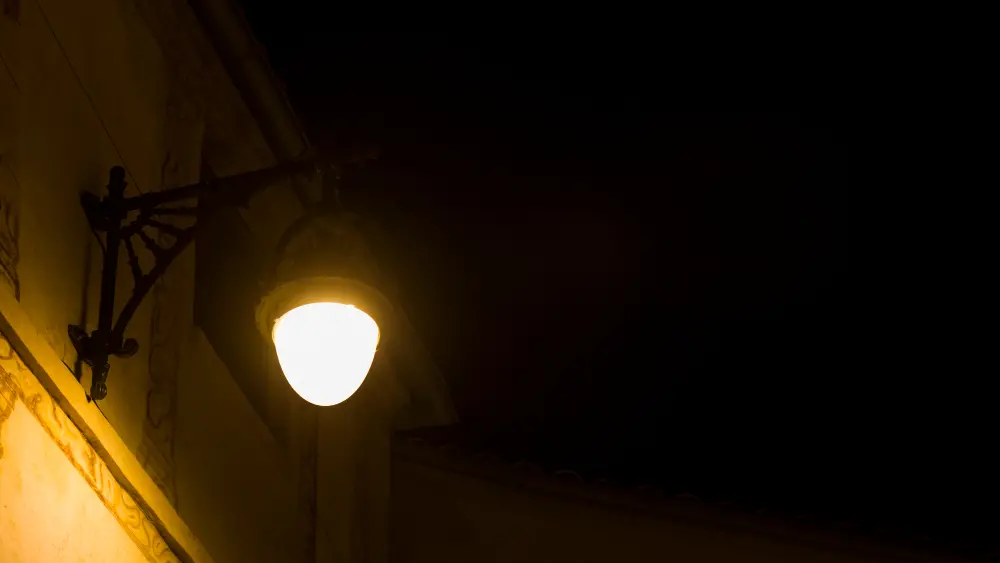 Cupins de luz invadindo sua casa? Saiba o que fazer imediatamente