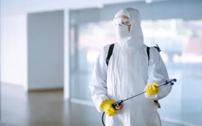 Dedetizadora em Niterói: como o controle de pragas protege a imagem da sua empresa