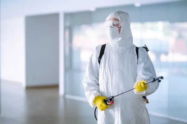 Dedetizadora em Niterói: como o controle de pragas protege a imagem da sua empresa