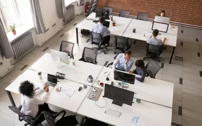 Dedetizadora em Niterói: dedetização corporativa para escritórios, lojas e clínicas em Icaraí