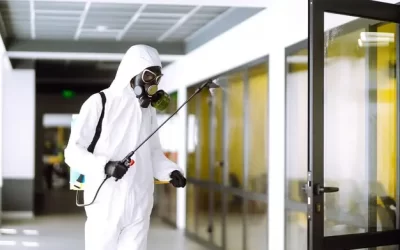 Dedetizadora em Niterói: dedetização empresarial com produtos seguros e certificados