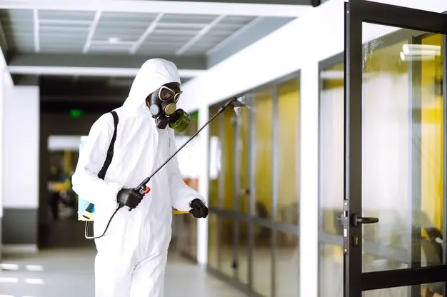 Dedetizadora em Niterói: dedetização empresarial com produtos seguros e certificados