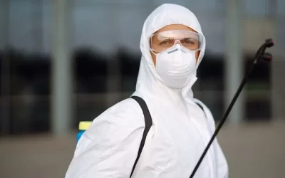 Dedetizadora em Niterói: por que sua empresa deve contratar dedetização preventiva?