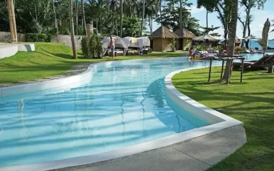 Dedetizadora em Paraty: como proteger pousadas e hotéis de infestações de pragas