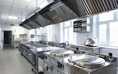 Cupins, baratas e roedores: as pragas mais comuns em cozinhas industriais e como eliminá-las