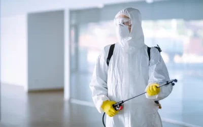 Dedetização em Búzios: quando fazer a dedetização e como escolher uma empresa autorizada