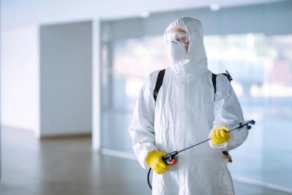 Dedetização em Búzios: quando fazer a dedetização e como escolher uma empresa autorizada