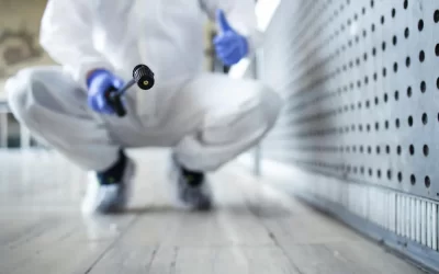 Dedetização em Rio das Ostras: baratas, ratos e mosquitos são as pragas mais comuns — saiba como eliminar