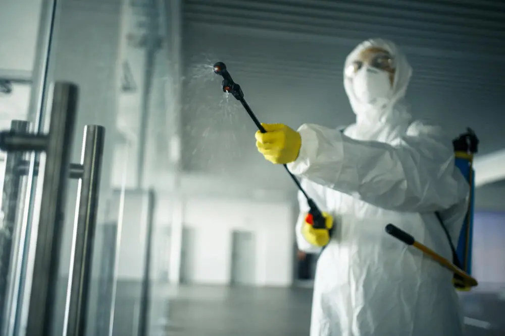 Dedetização em Rio das Ostras: como escolher uma empresa confiável para combater pragas urbanas