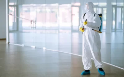 Dedetização em Rio das Ostras: cuidados redobrados no verão com mosquitos, baratas e escorpiões