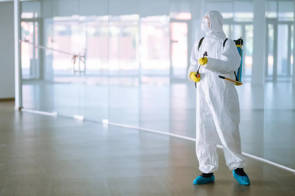 Dedetização em Rio das Ostras: cuidados redobrados no verão com mosquitos, baratas e escorpiões