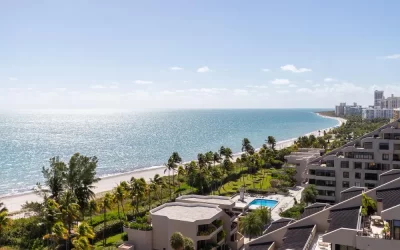 Dedetização em Rio das Ostras: soluções profissionais contra formigas e cupins em condomínios fechados