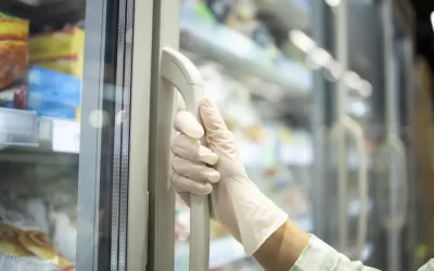 Dedetização preventiva em restaurantes e mercados: evite multas e prejuízos com pragas