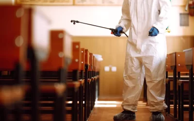 Checklist para a dedetização de escolas no período de férias: o que não pode faltar