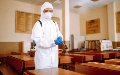 Como programar a dedetização de escolas sem interromper as atividades pedagógicas