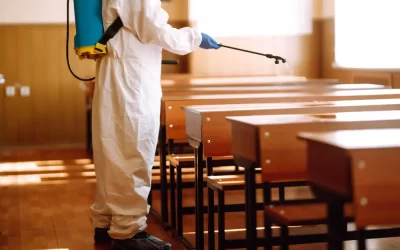 Dedetização em escolas no período de férias: por que esse é o momento ideal?