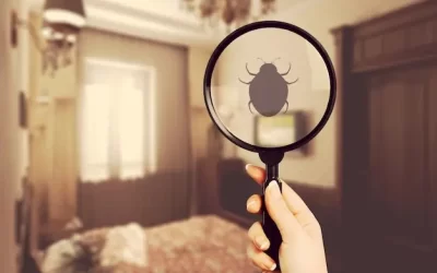 Infestação de percevejo de cama em ambientes comerciais: quando agir e como comunicar os clientes