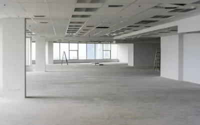 Reformas e baratas: como o quebra-quebra pode revelar infestações escondidas