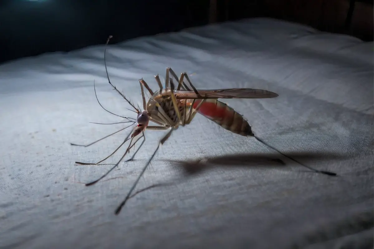 Como deixar o apartamento protegido antes de viajar no fim do ano