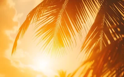 Como identificar cupins no verão no Rio de Janeiro?