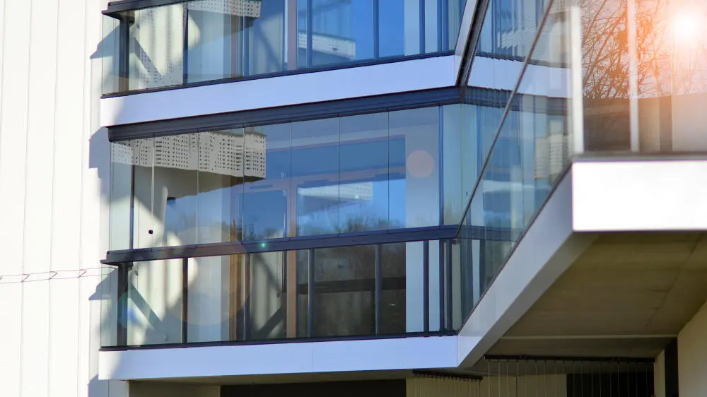 Cupins em Jacarepaguá: por que a infestação é tão comum na região?