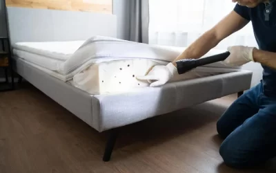 Picadas de percevejo de cama: como identificar corretamente?