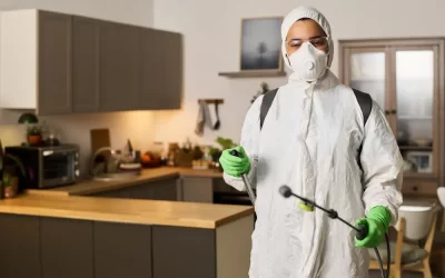 Quais são os primeiros sinais de cupins em apartamentos no RJ?